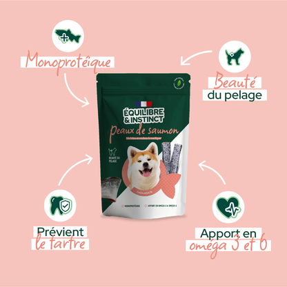 Friandises peaux de saumon (Chien adulte)