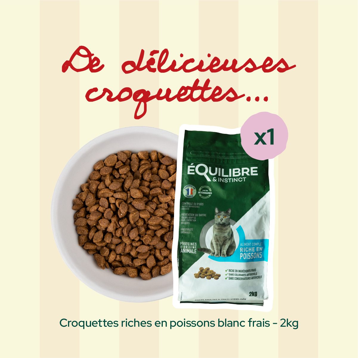 Pack Coup de foudre (chat adulte)