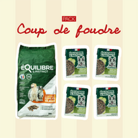 Pack Coup de foudre - Moy. / Grande taille (chien adulte)