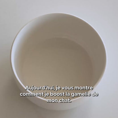 Sauce au poulet aromatisée au cheddar (Chat)