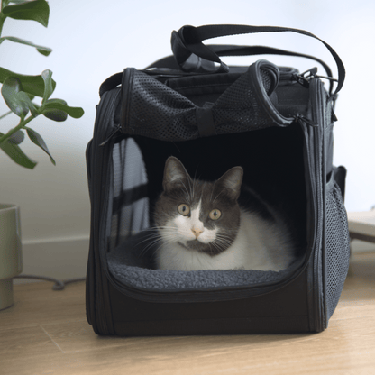 Sac de transport (Chat)