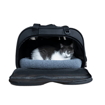 Sac de transport (Chat)