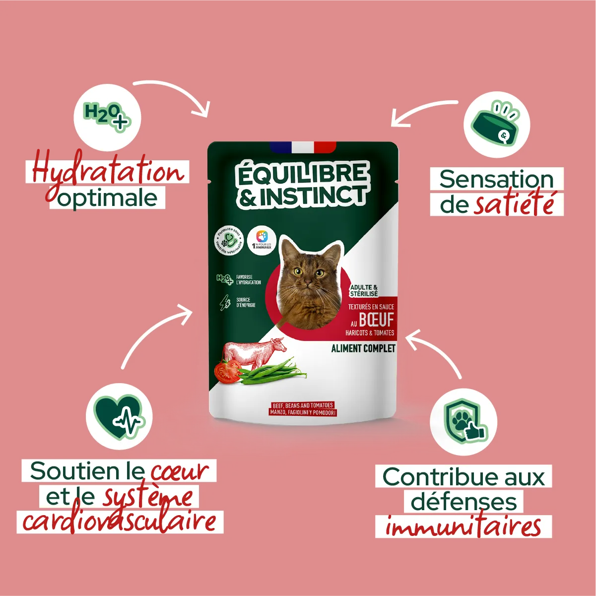 Effilés au bœuf, haricots & tomates (Chat stérilisé et Chat adulte)