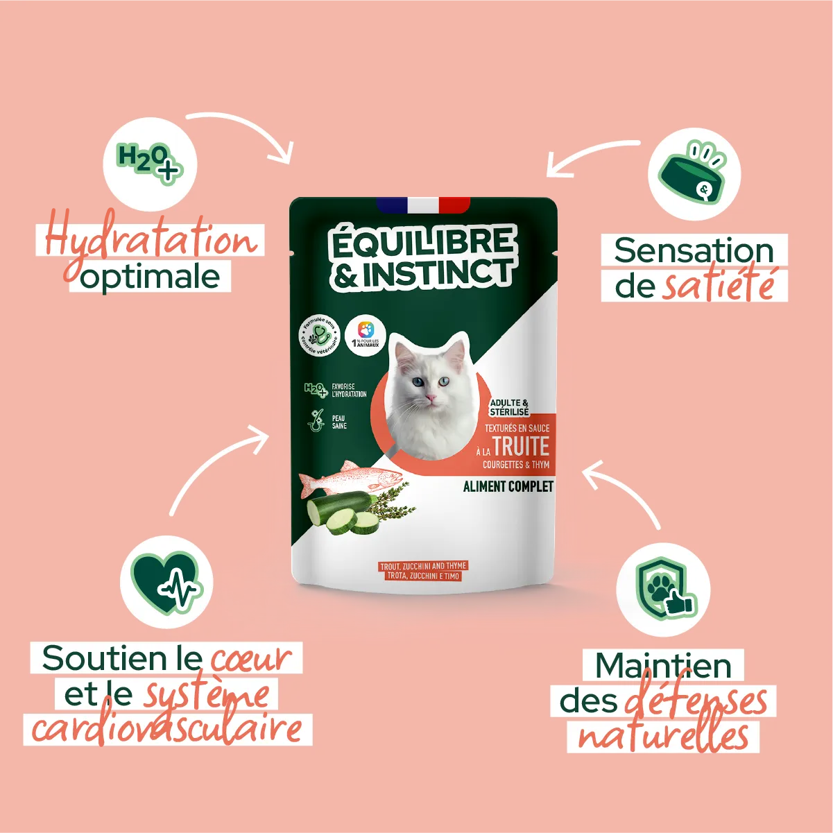 Effilés à la truite, courgettes & thym (Chat stérilisé et Chat adulte)