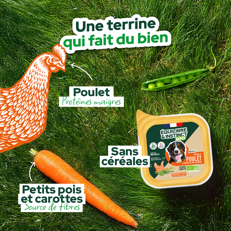 Terrine BIO au poulet et aux petits pois carottes (chien adulte)