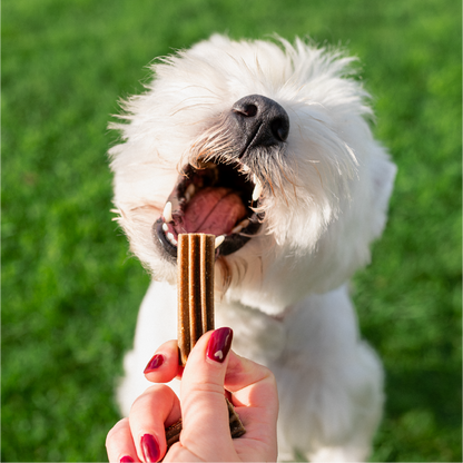 Stick dentaire Dental Stick - Petite taille (Chien adulte)