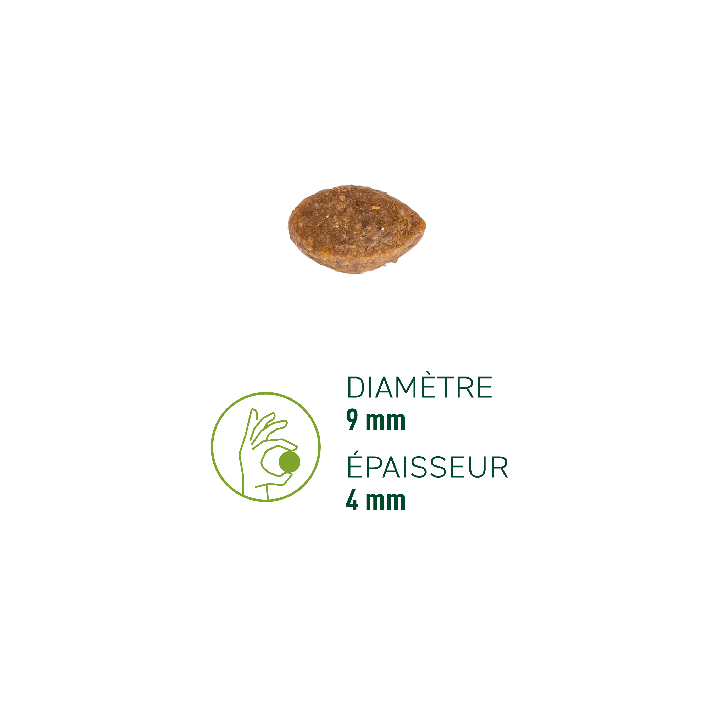 Zoom sur une croquette pour chaton riche en volaille fraiche de la marque EQUILIBRE & INSTINCT