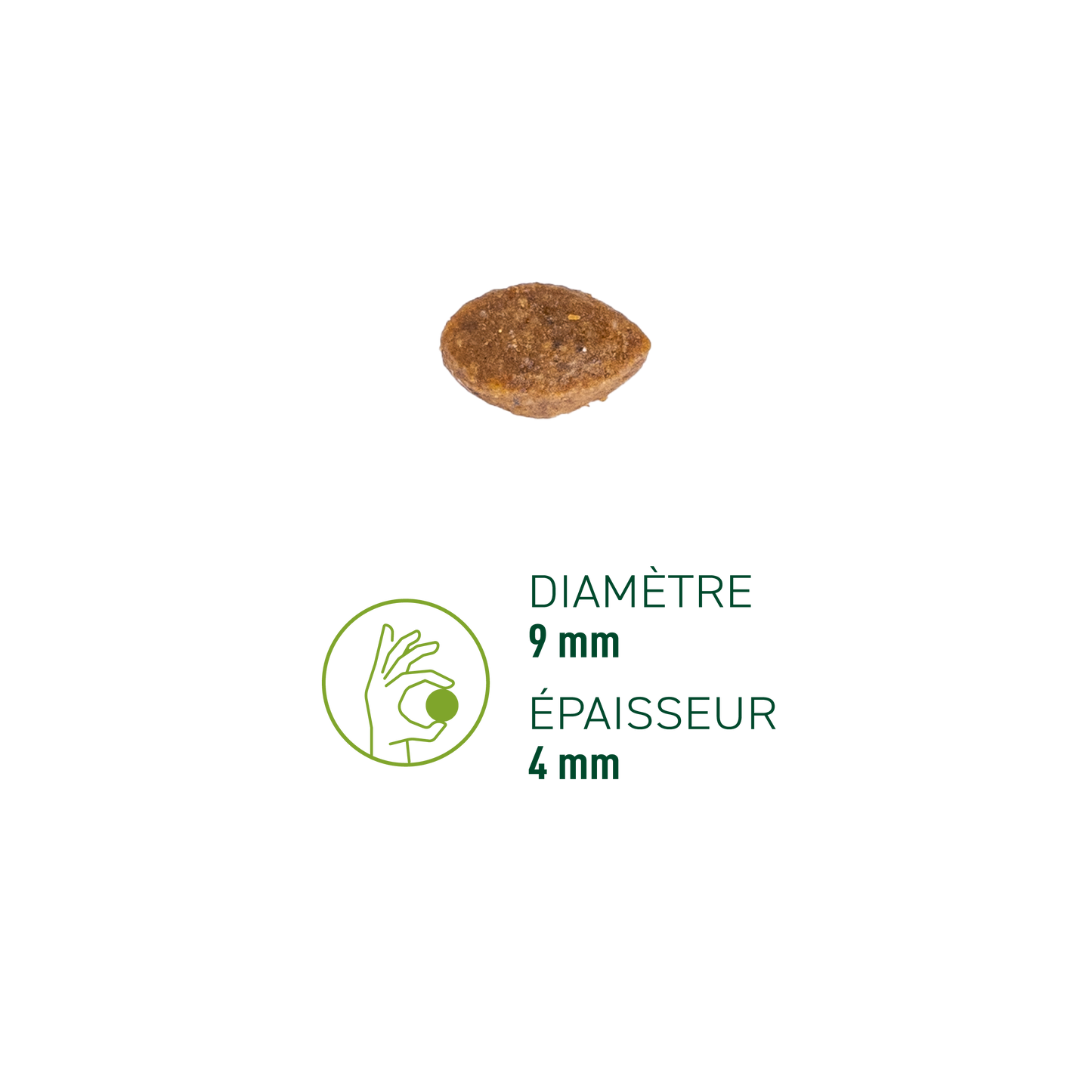 Zoom sur une croquette pour chat adulte riche en volaille fraiche de la marque EQUILIBRE & INSTINCT