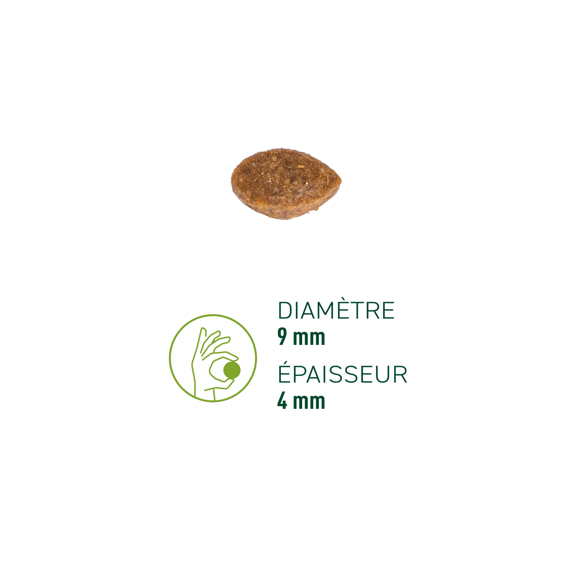 Zoom sur une croquette pour chat adulte riche en volaille fraiche de la marque EQUILIBRE & INSTINCT