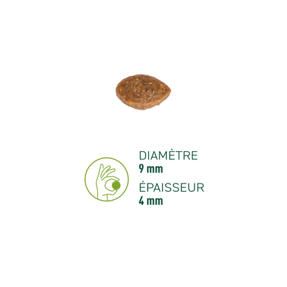 Zoom sur une croquette pour chat adulte riche en volaille fraiche de la marque EQUILIBRE & INSTINCT