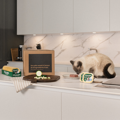 Pâtées riches en bœuf & aux courgettes (Chat stérilisé et Chat adulte)