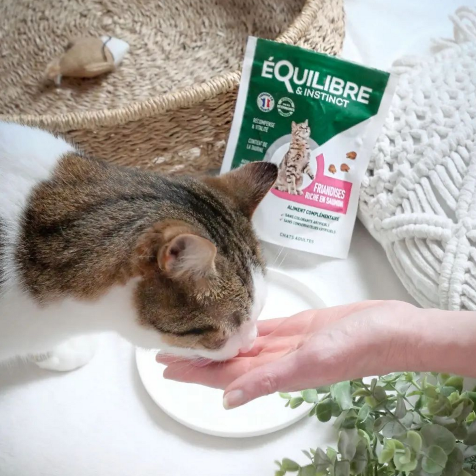 Equilibre & Instinct - Pâtée à la Volaille et Courgettes pour Chat - 85g